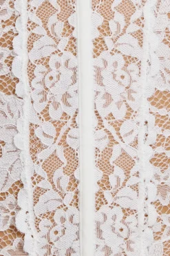 Shop Chrishell Lace Mesh Bustier Tank Tops